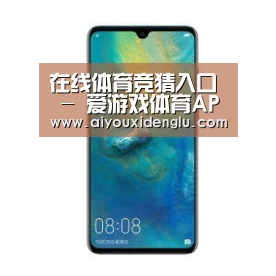 华为无线快充手机