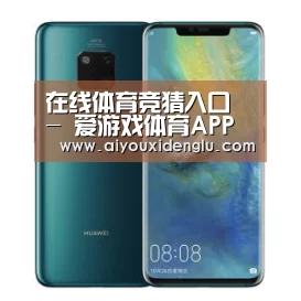 华为无线快充手机