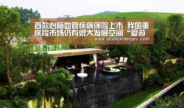首款心脑血管疾病保险上市 我国重疾险市场仍有很大发展空间“爱游戏竞猜”(图1) 爱游戏赛事