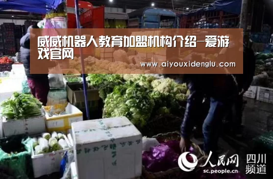 威威机器人教育加盟机构介绍-爱游戏官网(图4) 爱游戏官网