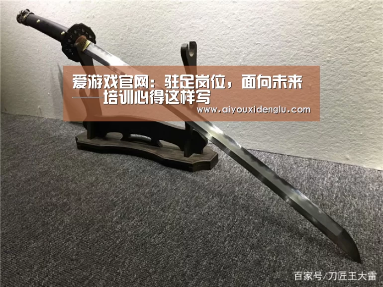 爱游戏官网:驻足岗位,面向未来——培训心得这样写(图2) 爱游戏登录
