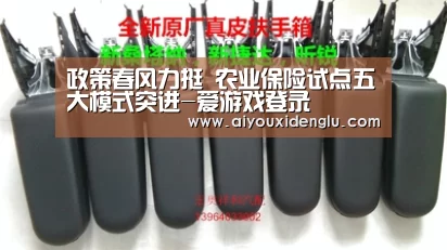 爱游戏竞猜